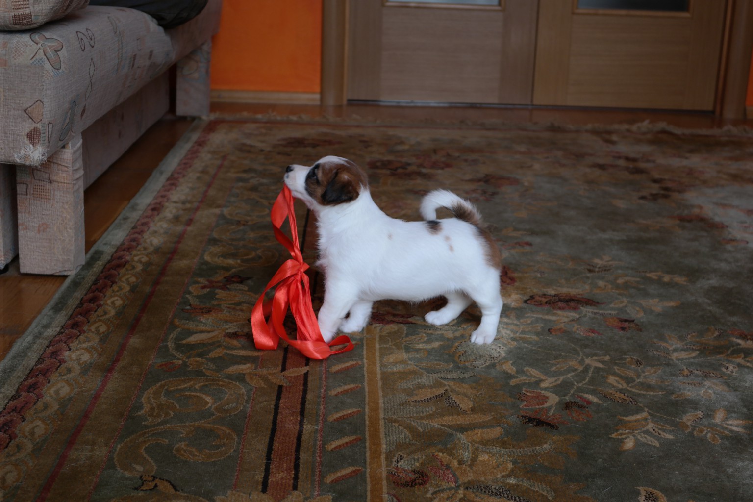 SAM_0117.JPG