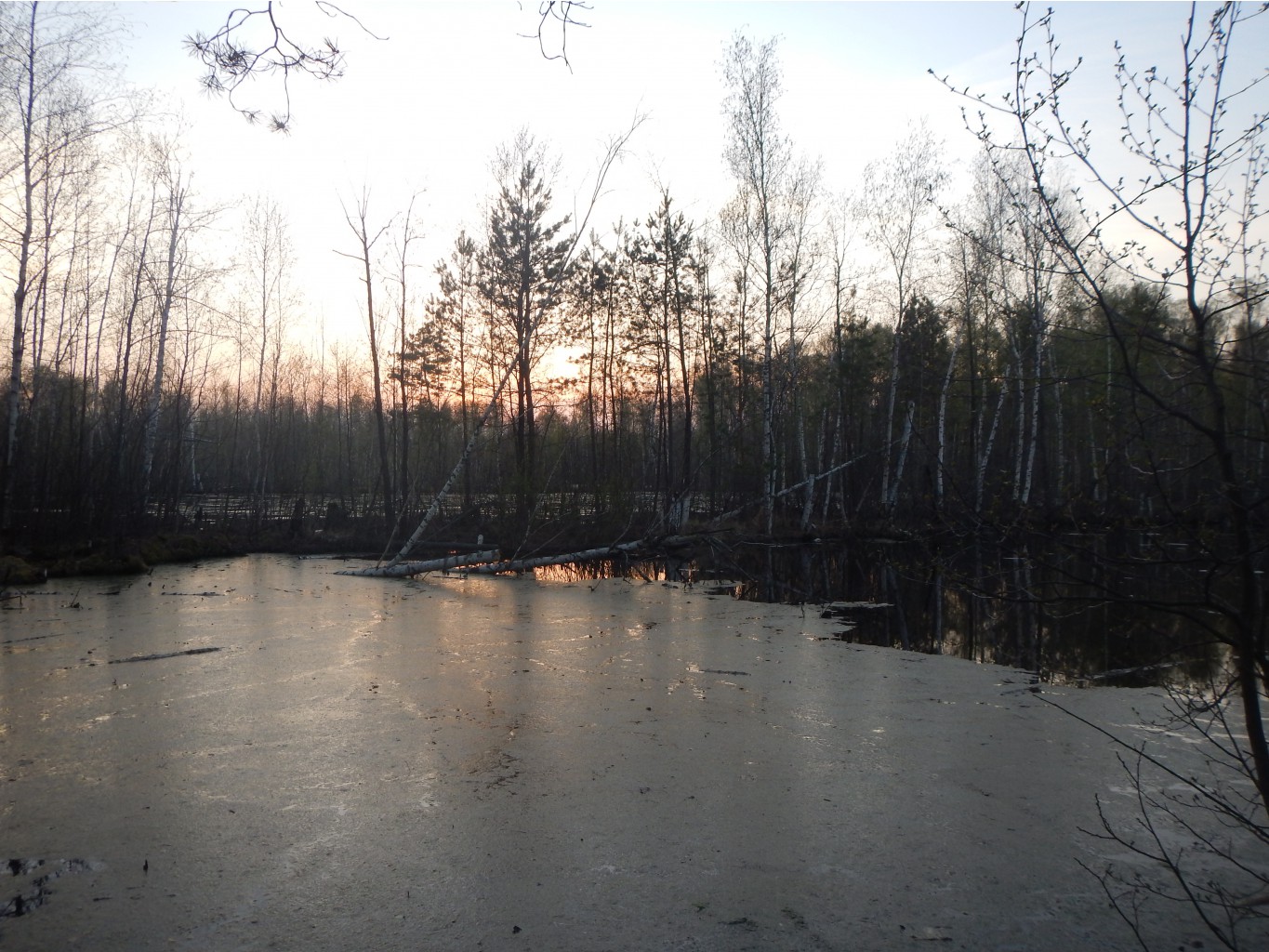 DSCN0173.JPG