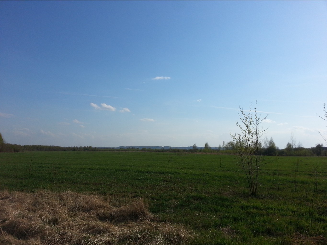 20140501_172915.jpg