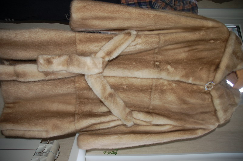 DSC_0550_resize.JPG