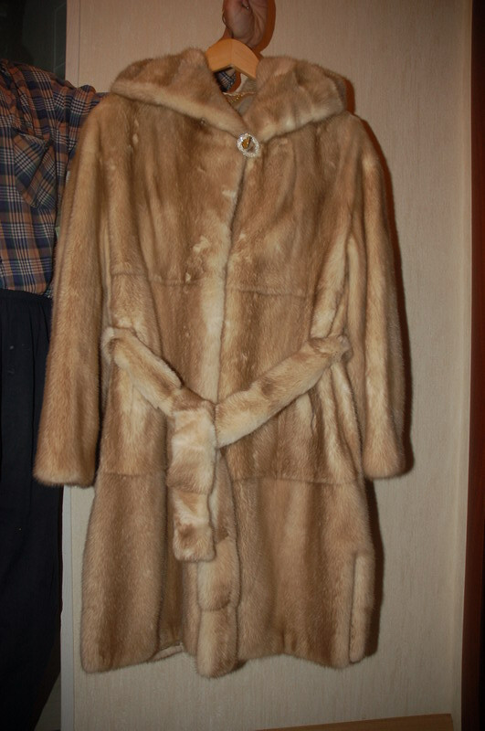 DSC_0546_resize.JPG
