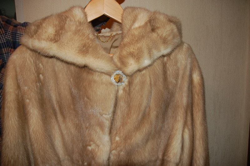 DSC_0547_resize.JPG