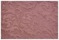 astrum mauve.jpg