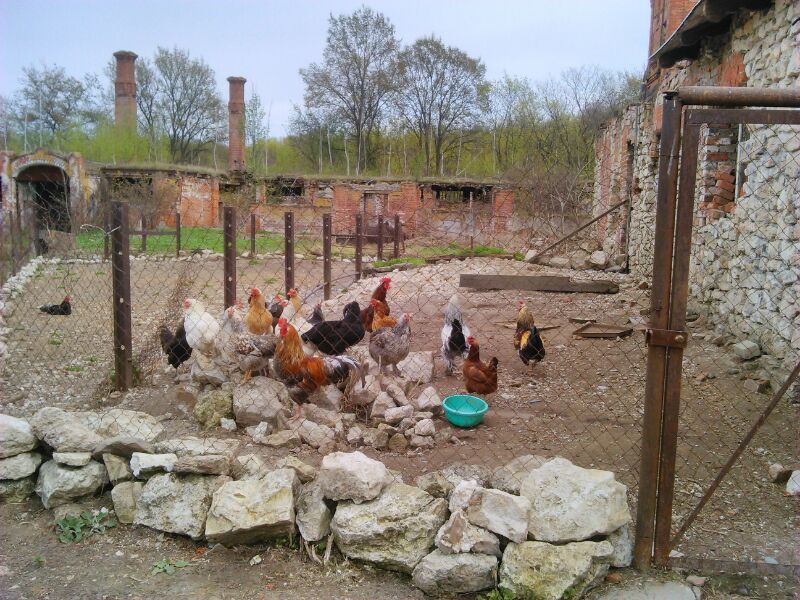 image-05-05-14-02-39-16.jpeg