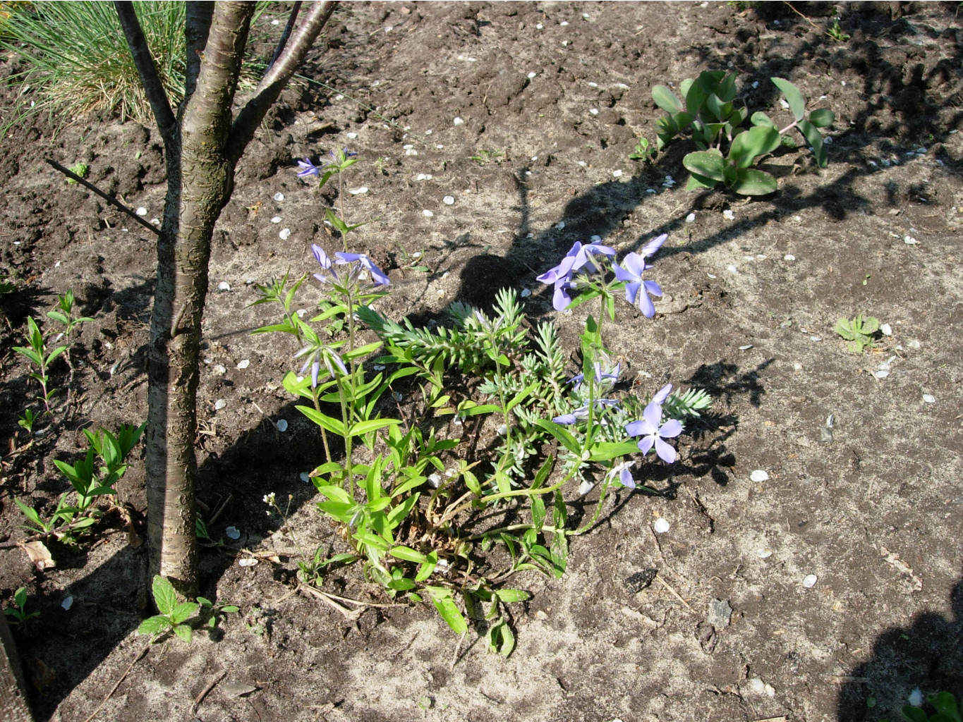 DSCN9120.JPG