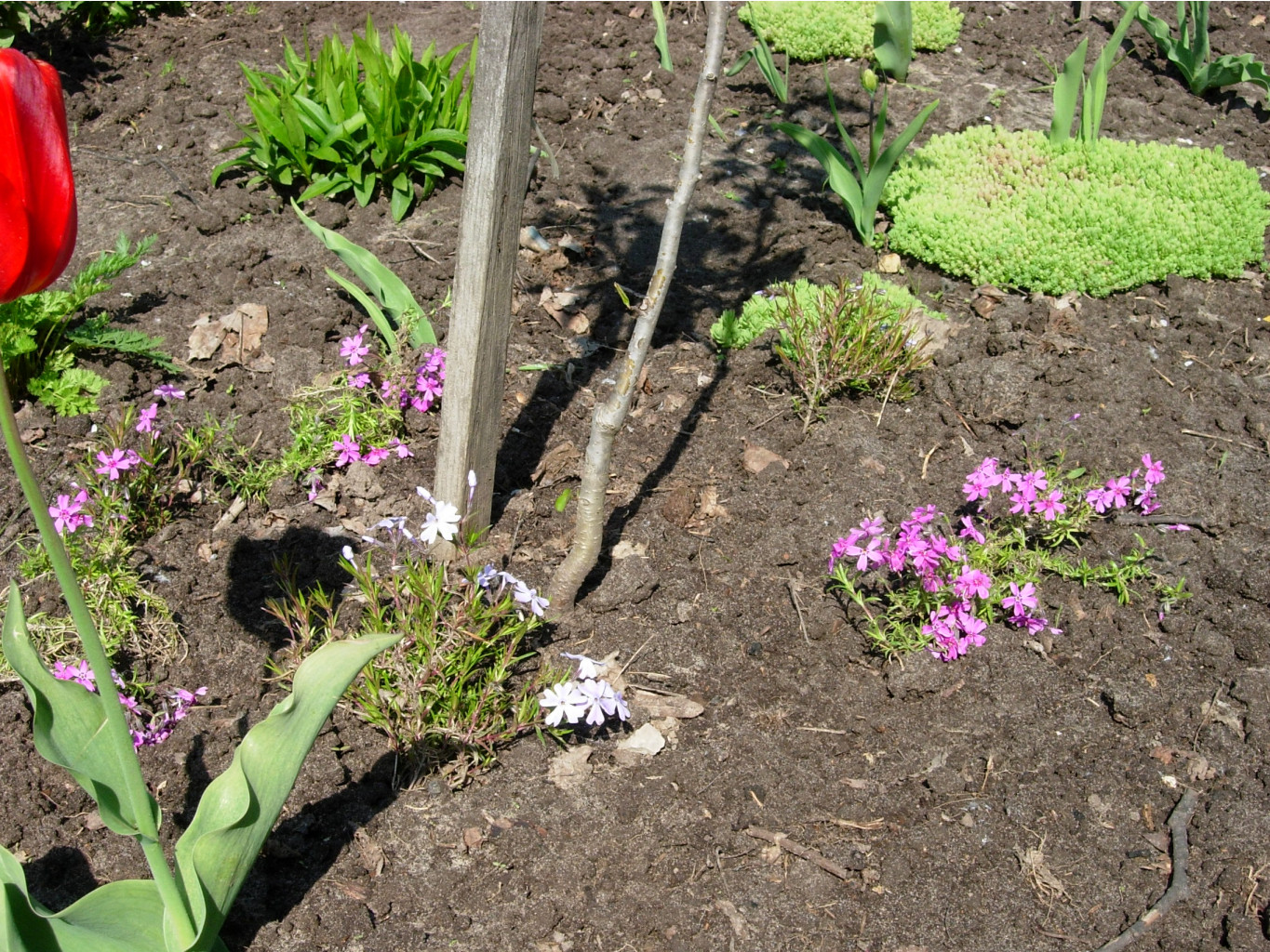 DSCN9124.JPG
