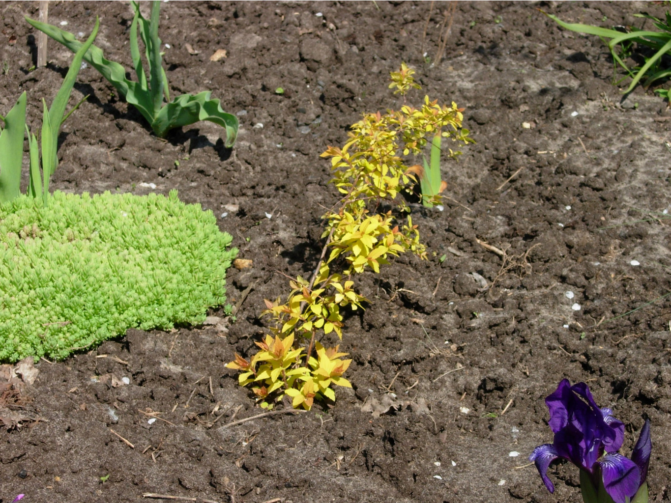 DSCN9125.JPG