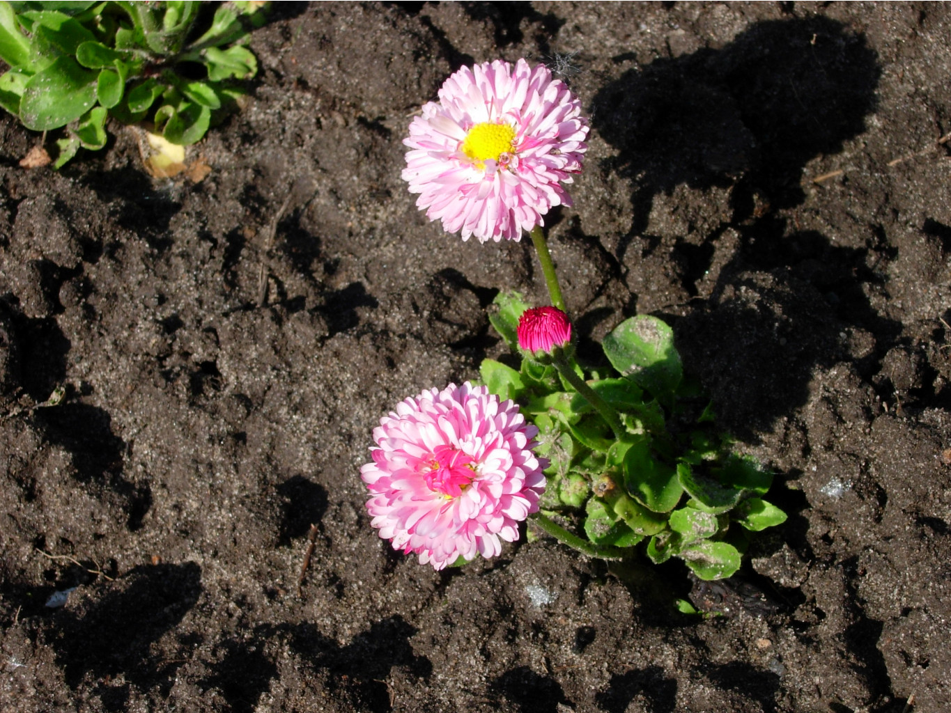 DSCN9126.JPG