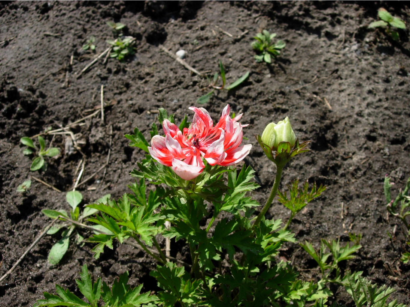 DSCN9128.JPG