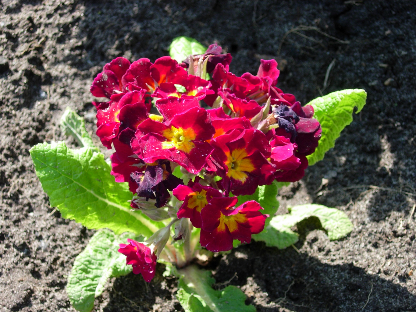 DSCN9133.JPG