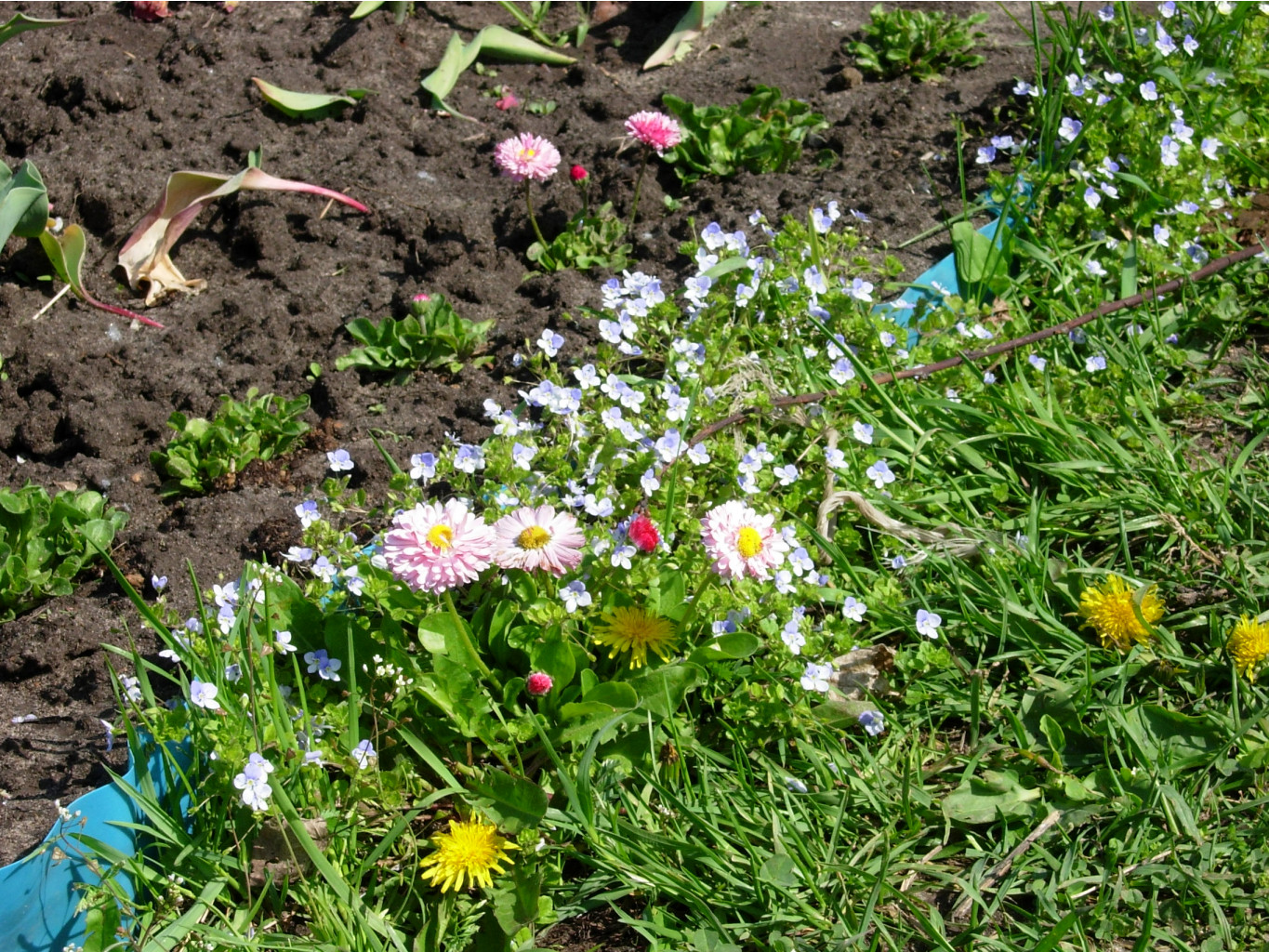 DSCN9139.JPG