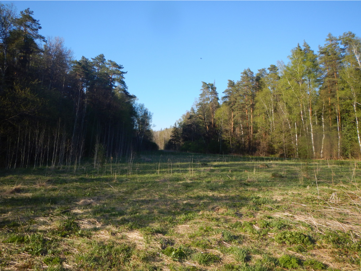 DSCN0189.JPG