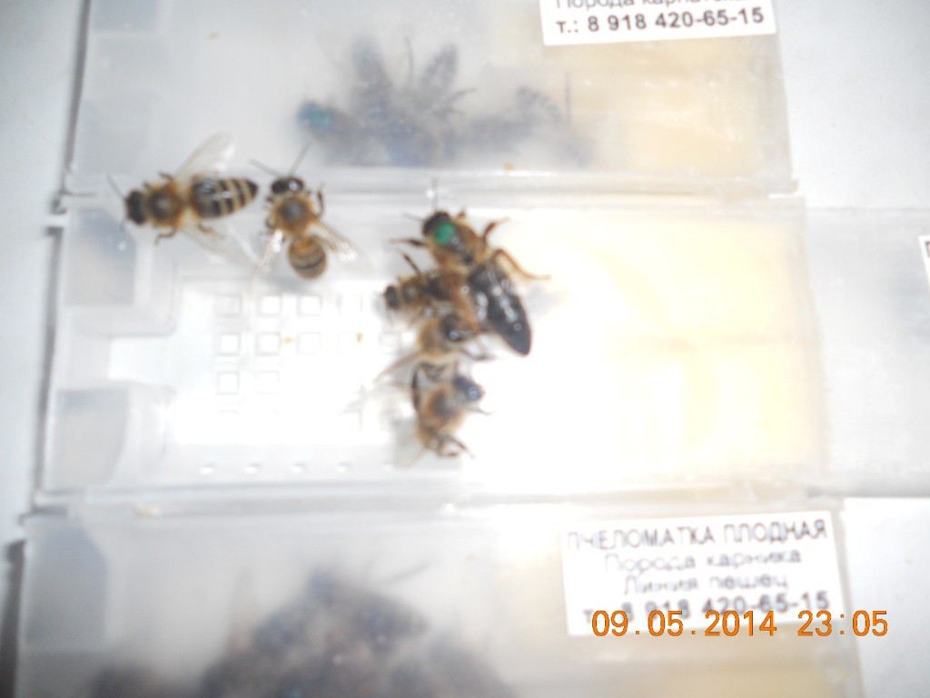 DSCN7914.JPG