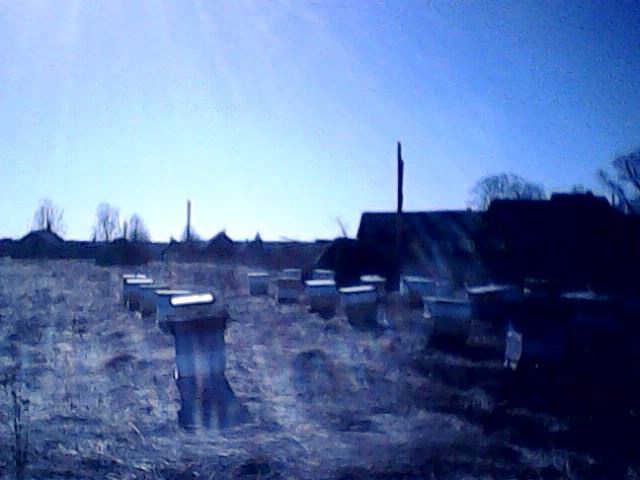IMG0023A.jpg
