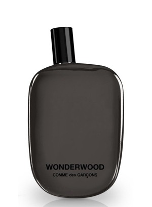 Wonderwood Comme des Garcons.jpg