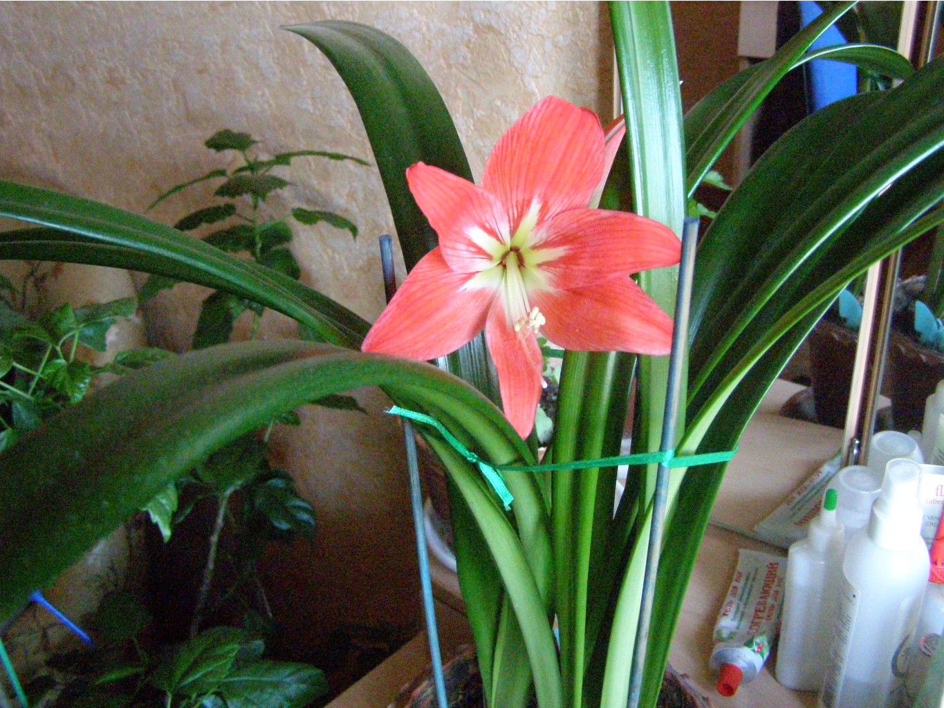 P4050333.JPG