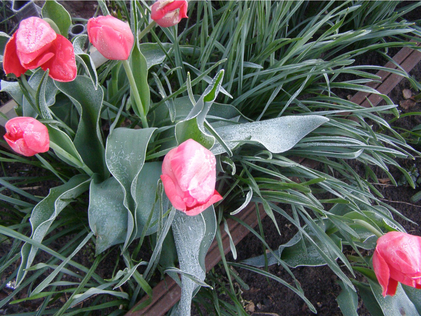 P5040544.JPG
