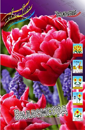  14,5.   ( 10 .   5.).jpg