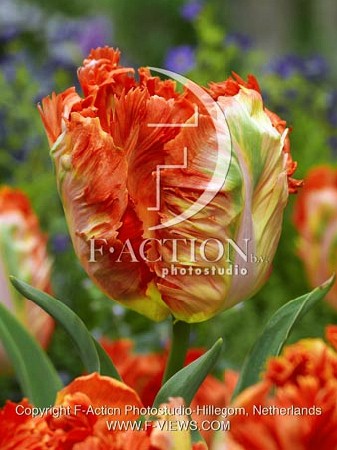 19,53.    ( 10 .   5.).jpg