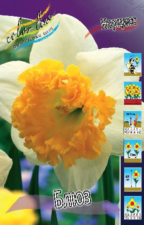 26,45.   (   10 .,   1.).jpg