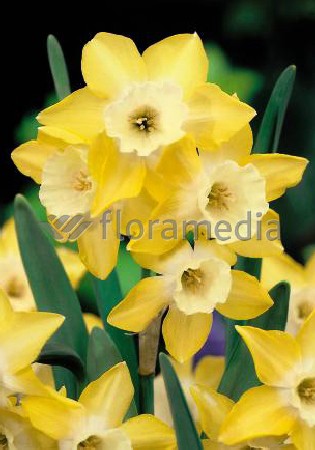 13,55.   ( 10 .   5.).jpg.jpg