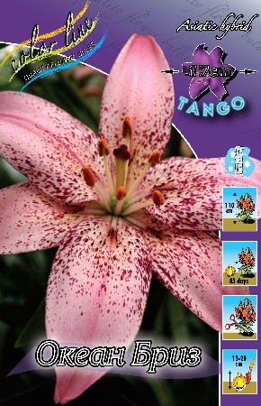 19,62.     ( 10 .   5.).jpg