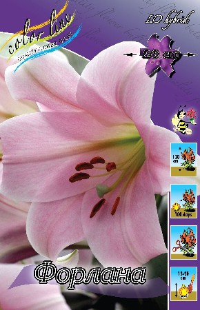 22,7.    ( 10 .   5.).jpg