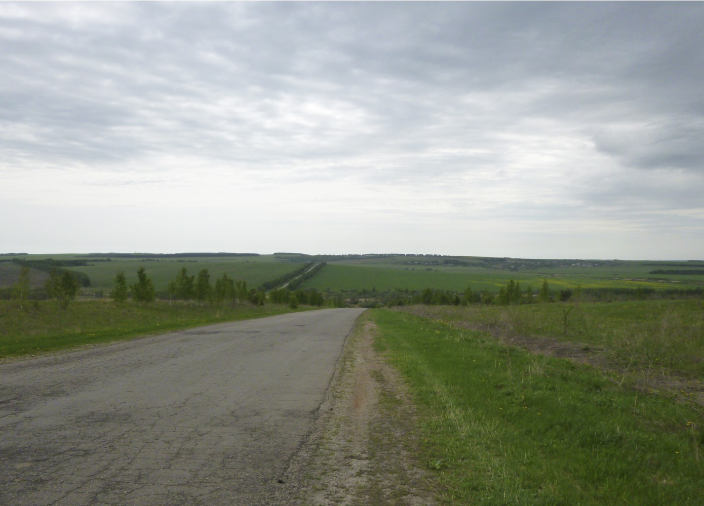 P1000883_1.jpg