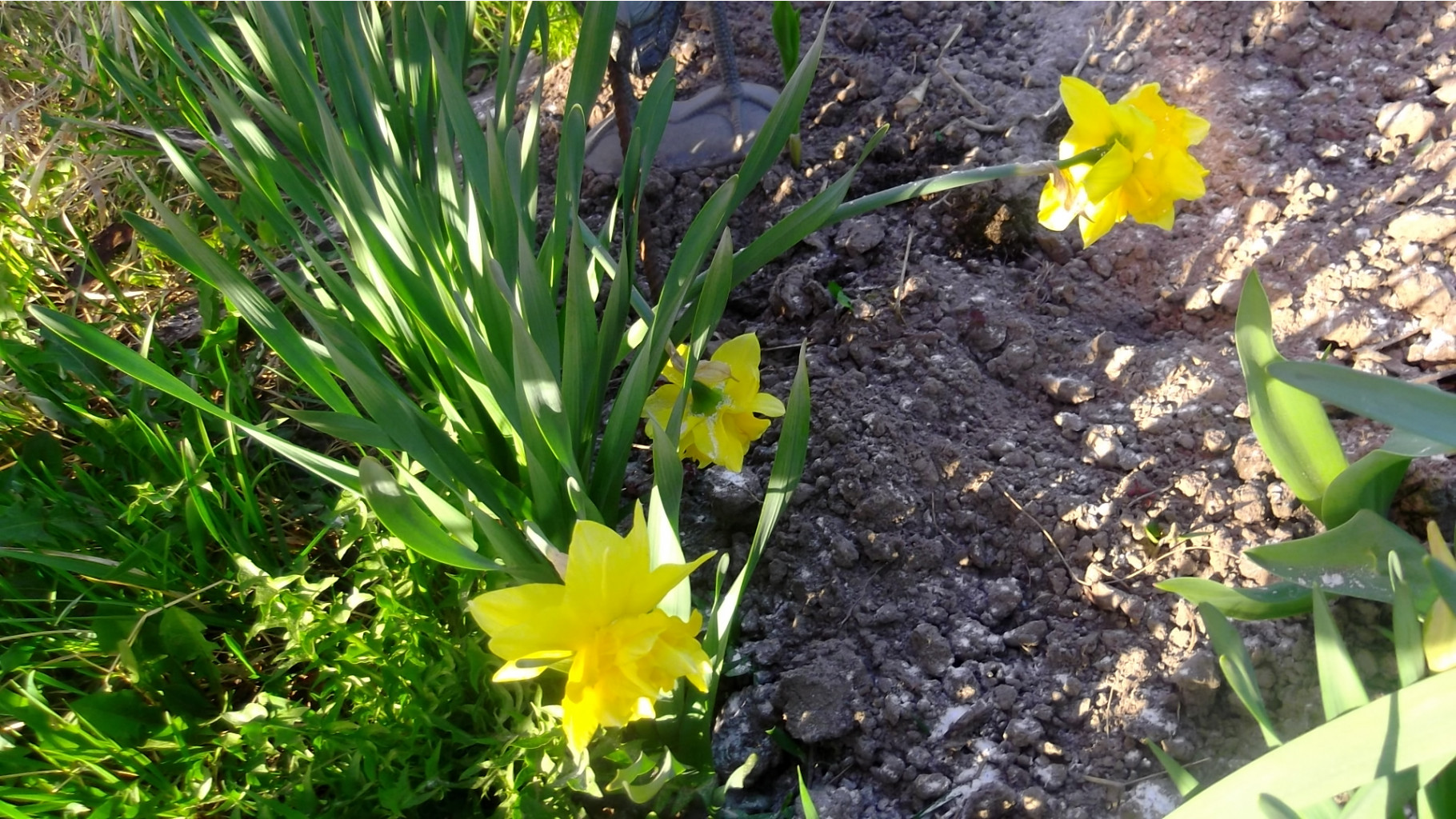 DSCF5306.JPG
