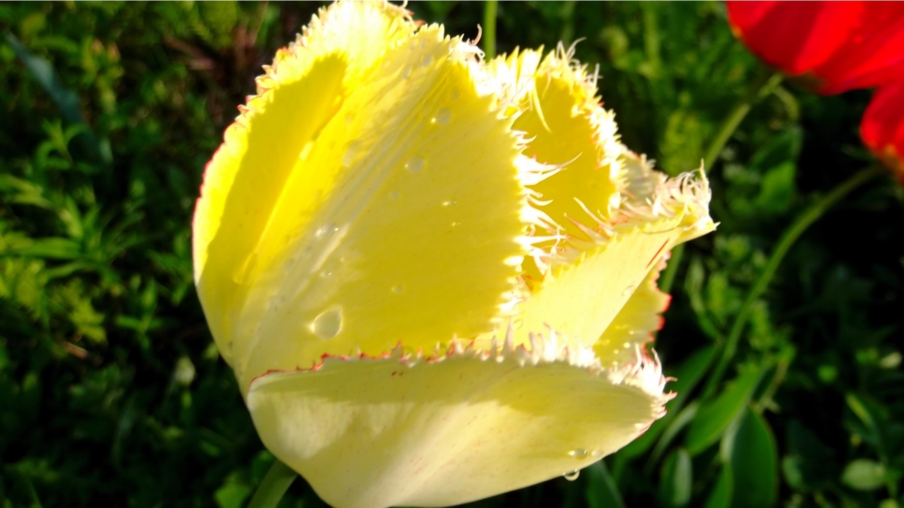DSCF5382.JPG