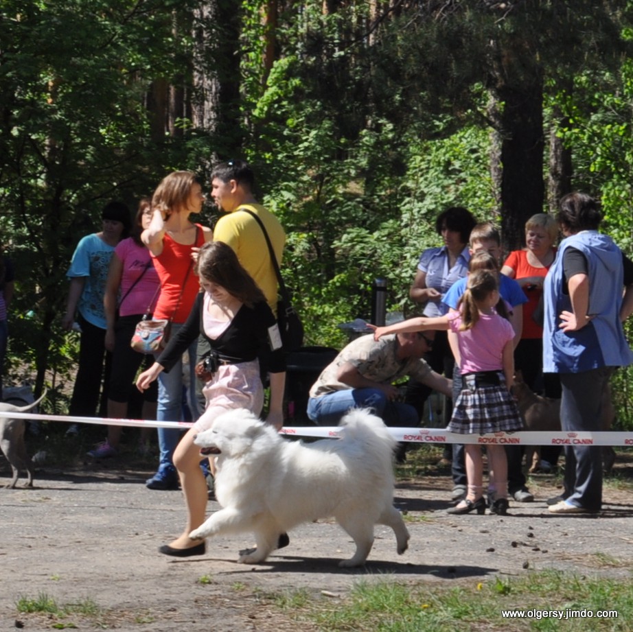 03-DSC_5328.JPG