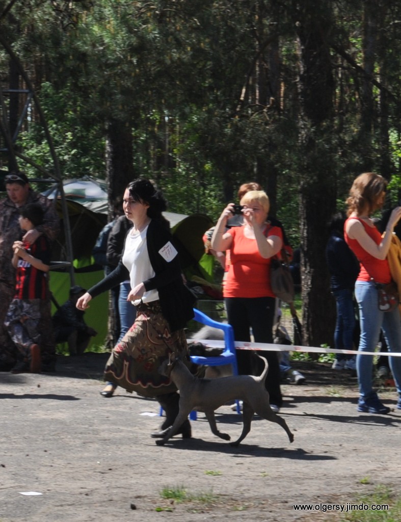 11-DSC_5351.JPG