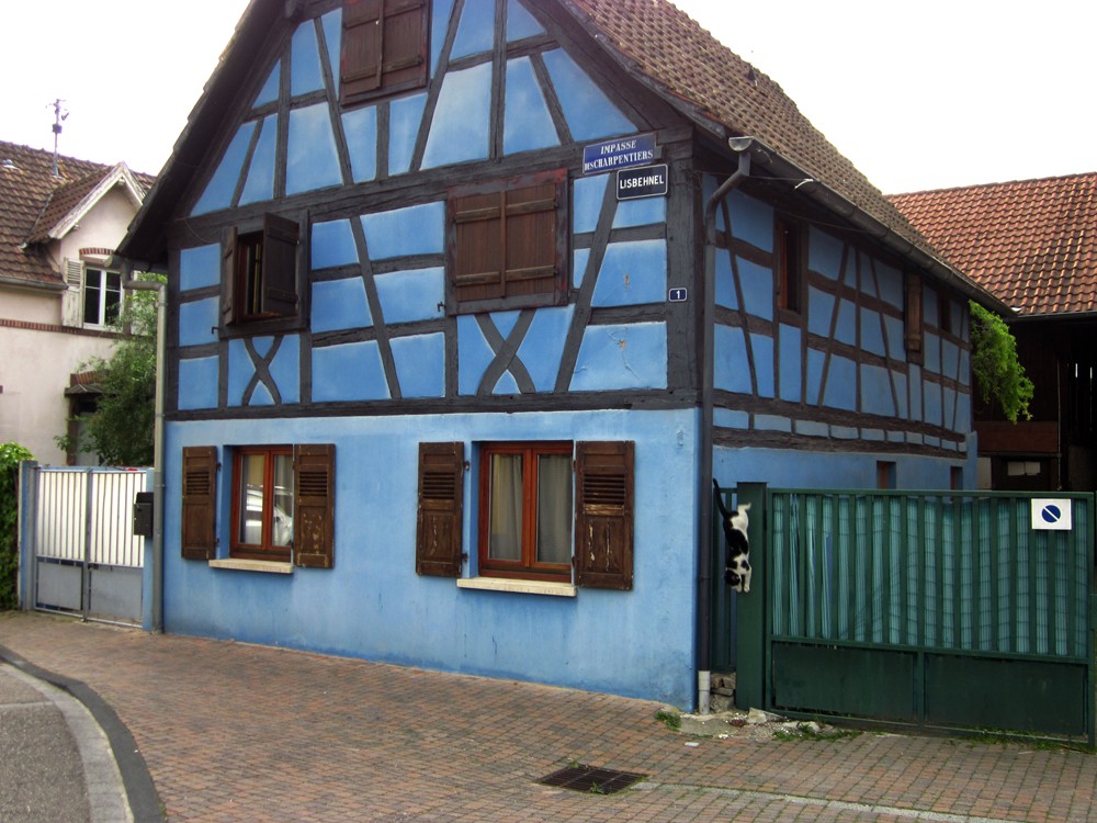 IMG_5095.jpg