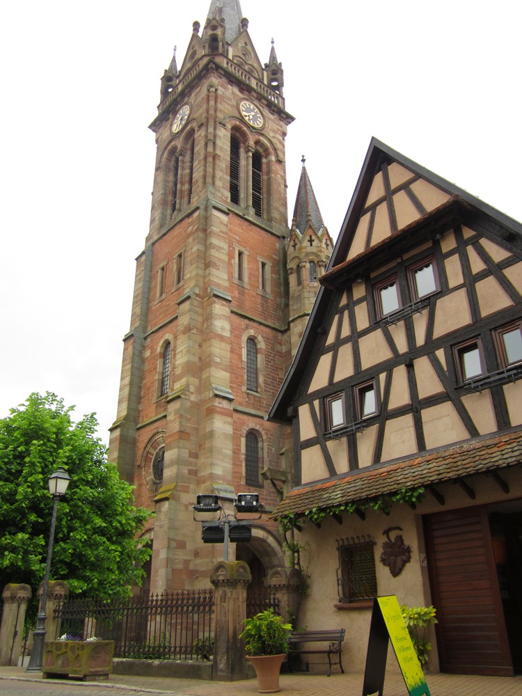 IMG_5548.jpg