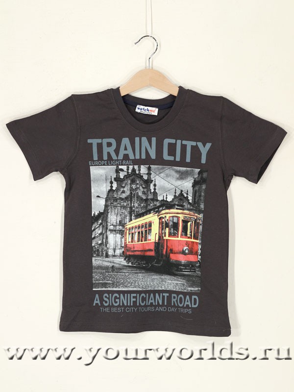 temno-seraya-futbolka-dlya-malchika-train-city-watch-me-eu-1161-2.jpg