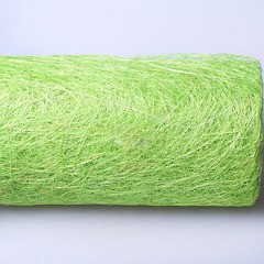 s50    pastel green 10  50  381 .jpg