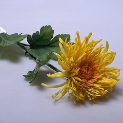    6-285 150 .jpg