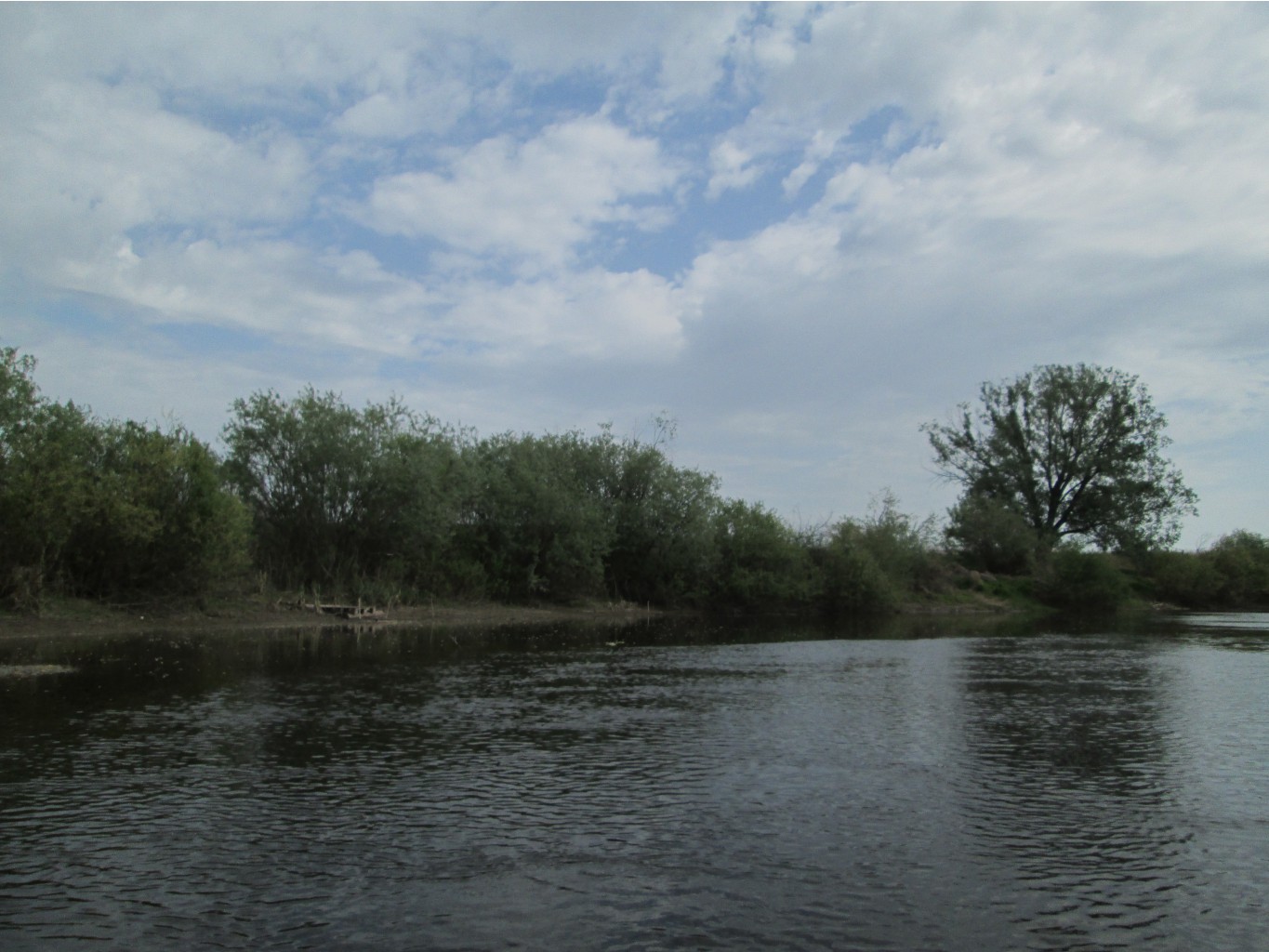 IMG_0375.JPG