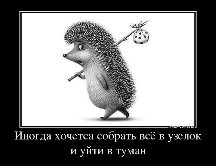 10359934_inogda-hochetsa-sobrat-vsyo-v-uzelok-i-upizdovat-v-tuman.jpg