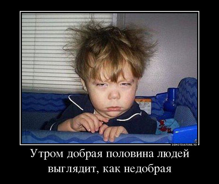 11859974_utrom-dobraya-polovina-lyudej-vyiglyadit-kak-nedobraya.jpg