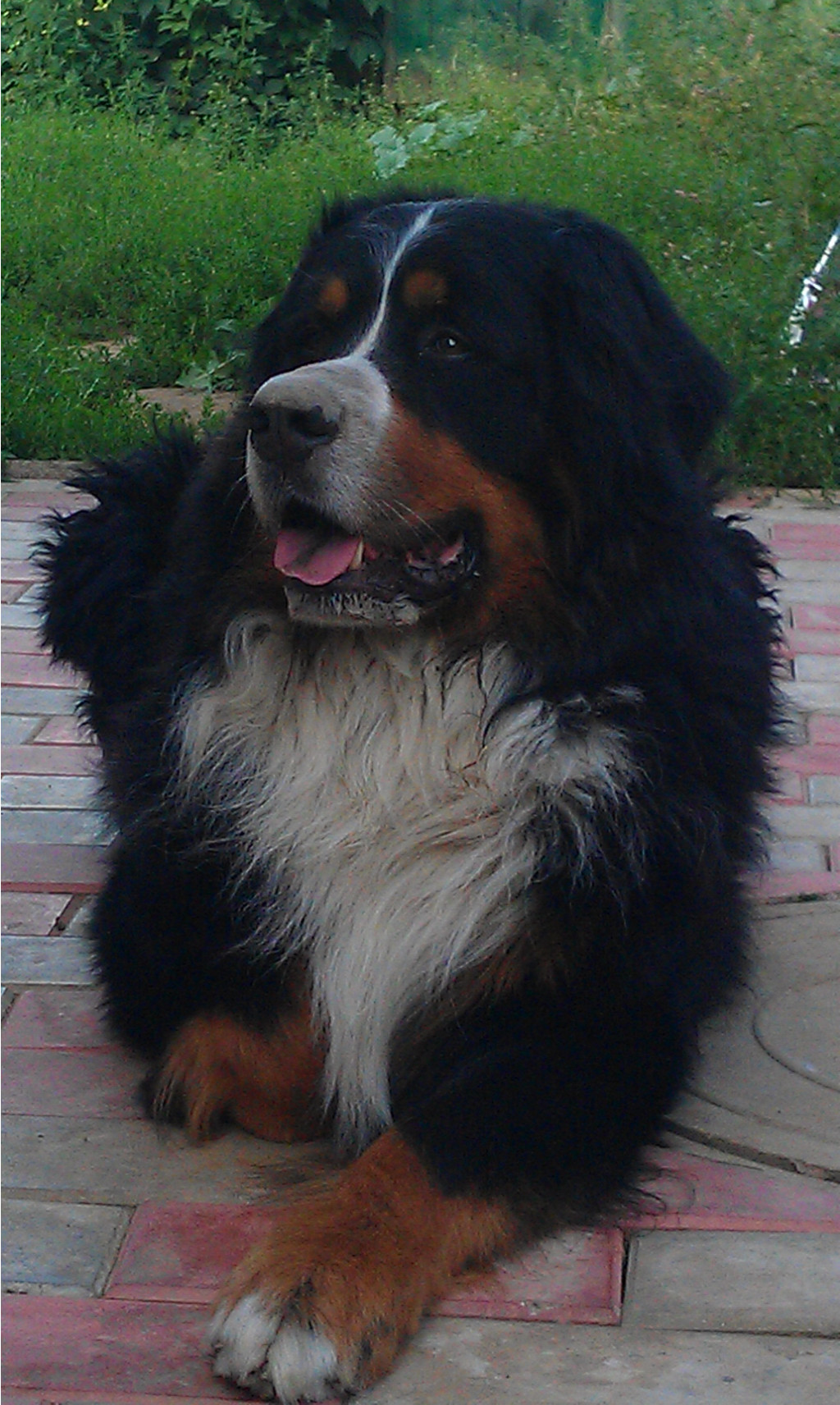 imag0137.jpg