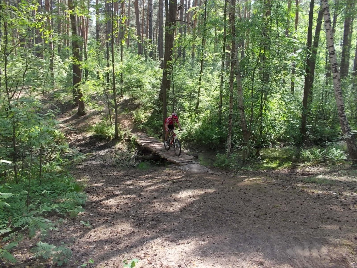 DSCN5683.JPG