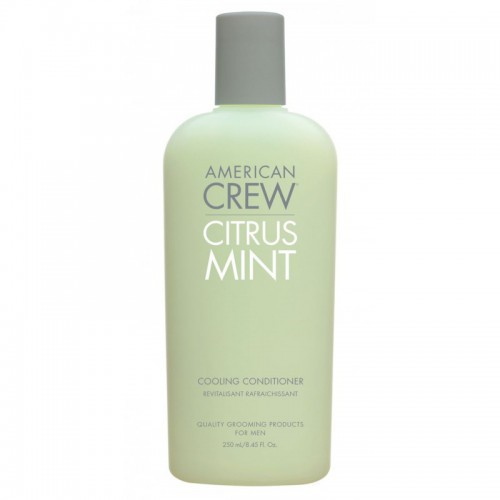 . 7202061000     Citrus Mint Cooling Conditioner 250  : 281 .