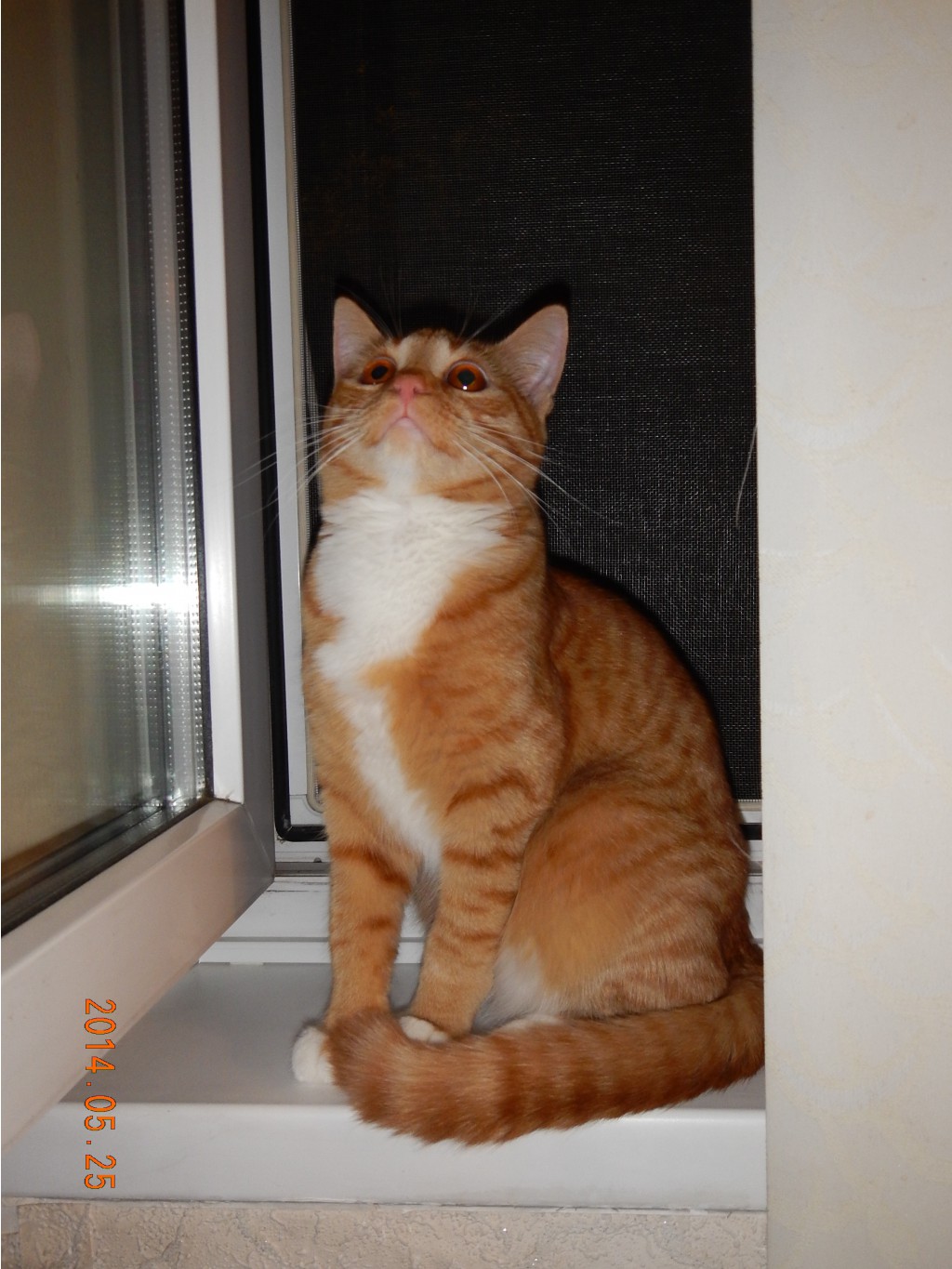 DSCN0103.JPG