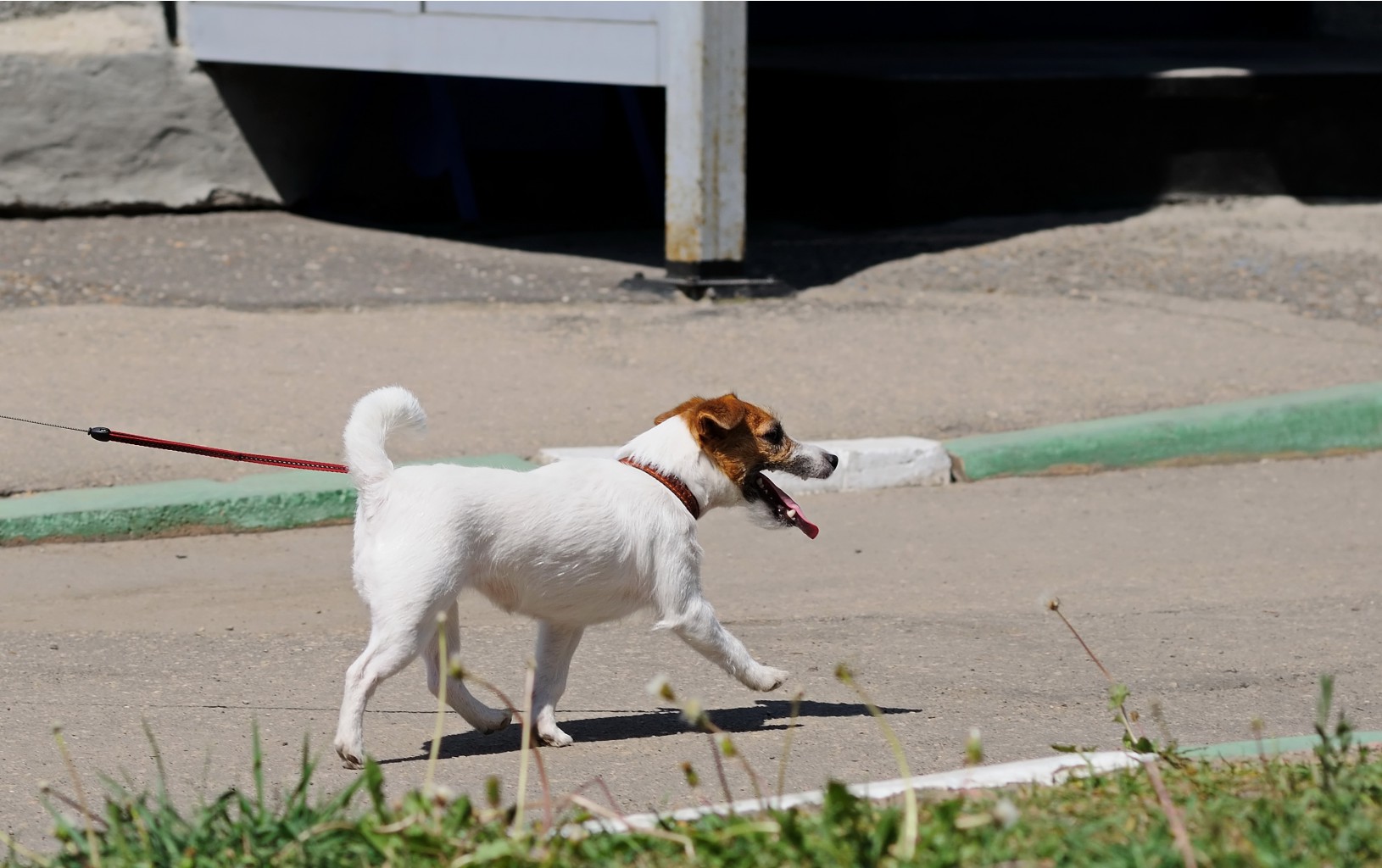 DSC_0055.jpg