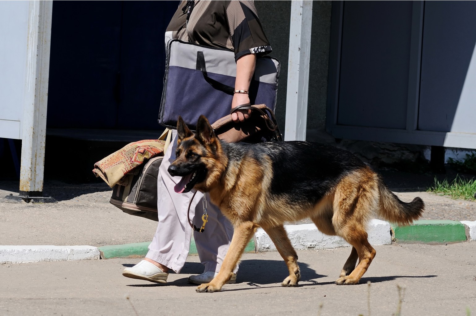 DSC_0066.jpg