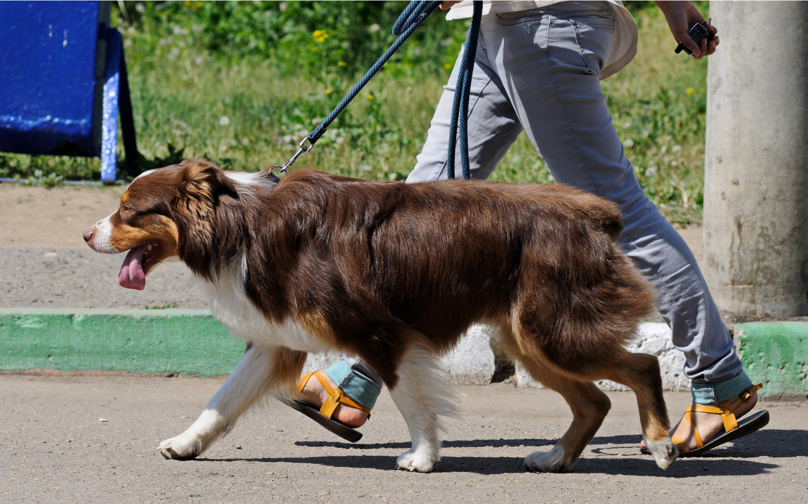 DSC_0069.jpg
