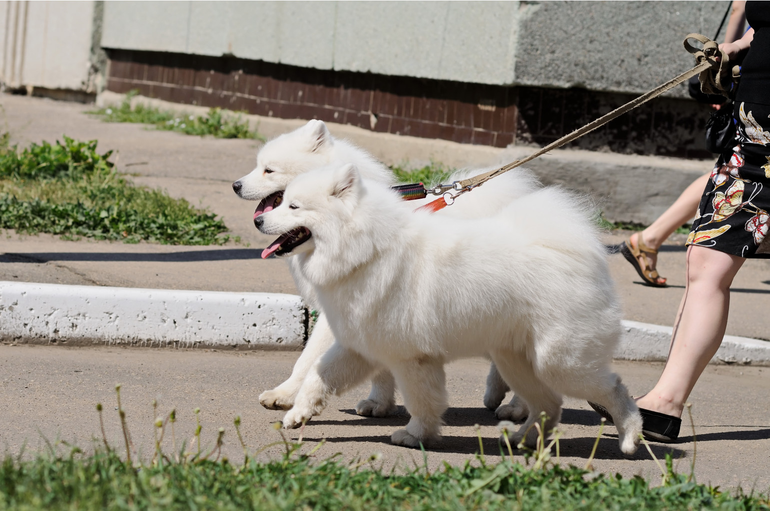 DSC_0085.jpg