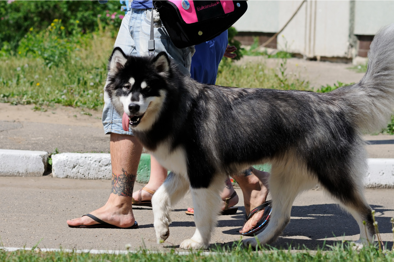 DSC_0088.jpg