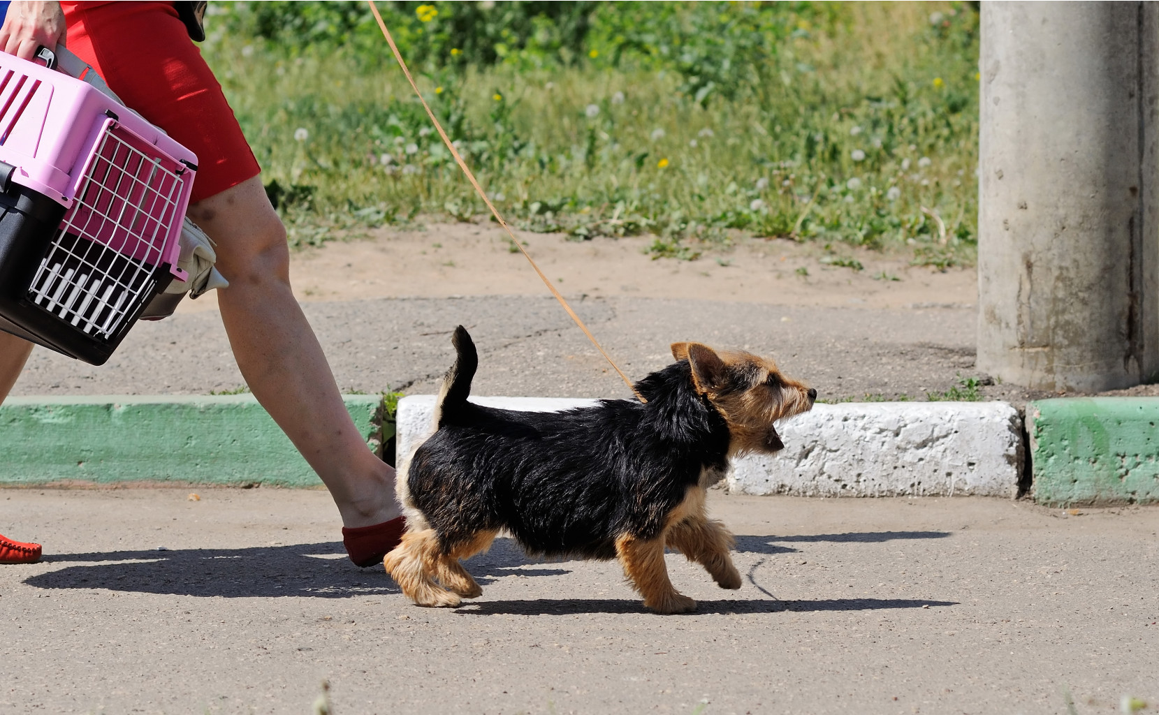 DSC_0091.jpg